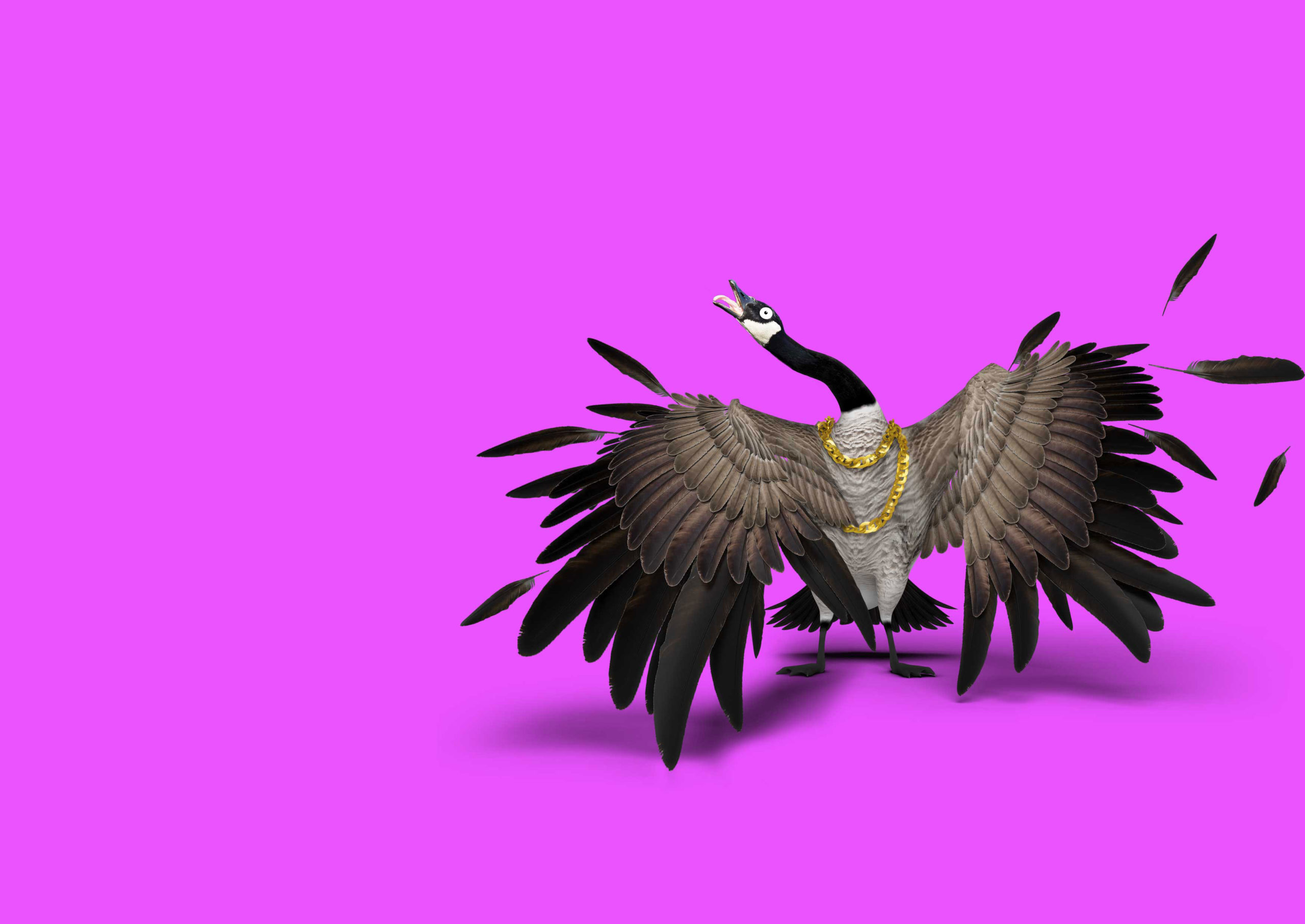 GOOSE-FINAL-crazyeye